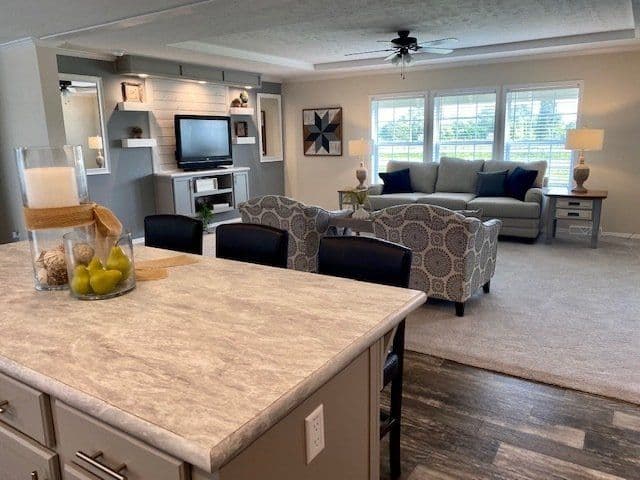 Greystone (lot model) interior home features